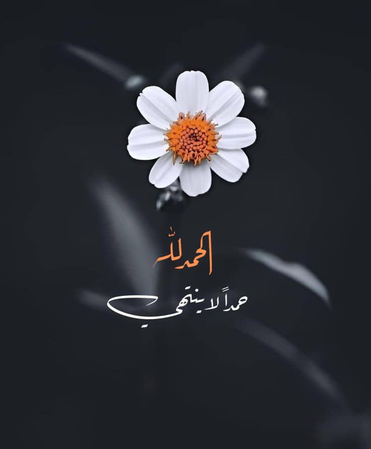 ِ  *الحمدلله حمداً لا ينتهي*
•┈••▪️⇓⇓💜⇓⇓▪️••┈•
....

.....

#صباح_الخير..🤍⚘️