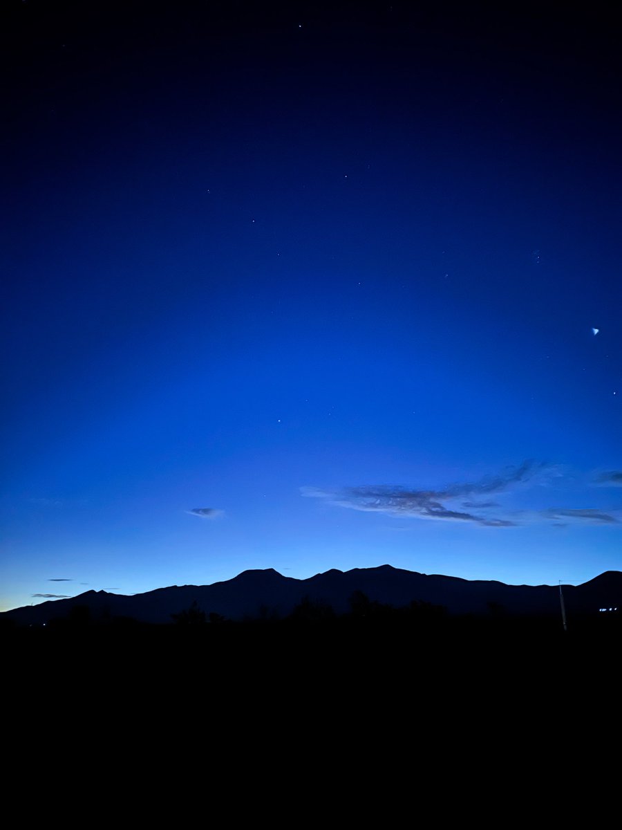 Guillermo Rosas tweet media