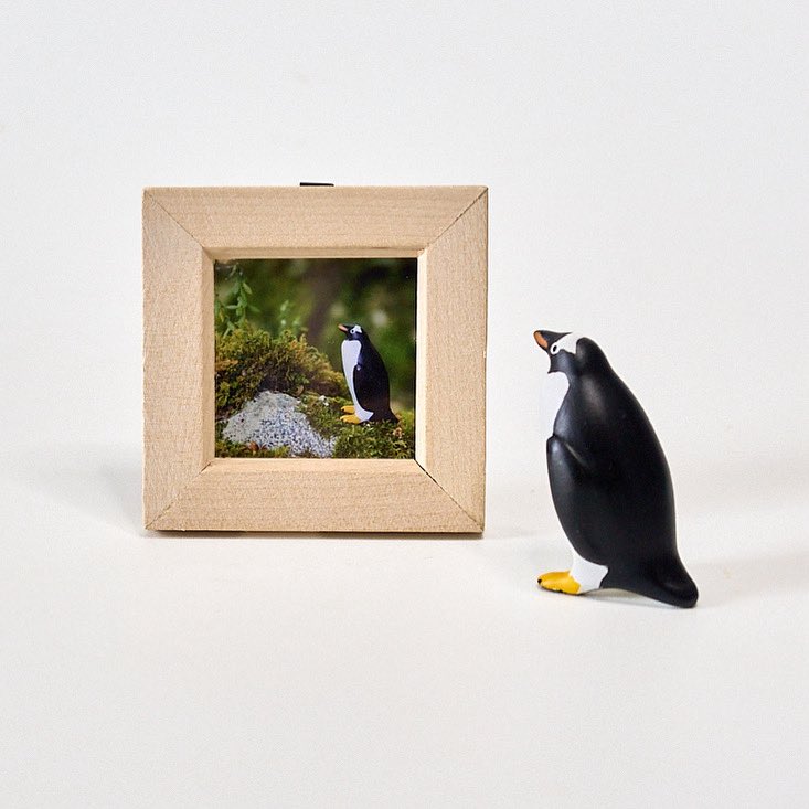 kobito_penguin's tweet image. 【ペンぎょ展2025】東京会期9日目です!
ミニ額写真を追加納品いたしました🐧✨
全て違う絵柄となっております。
様々なペンギンズをお楽しみください🙌
⚠️明日は休館日です。詳しくは公式サイト&SNSをご確認ください
tgs.jp.net/event/pengyo/
#ペンぎょ展
#ペンぎょ展2025
#ペンギン
#penguin