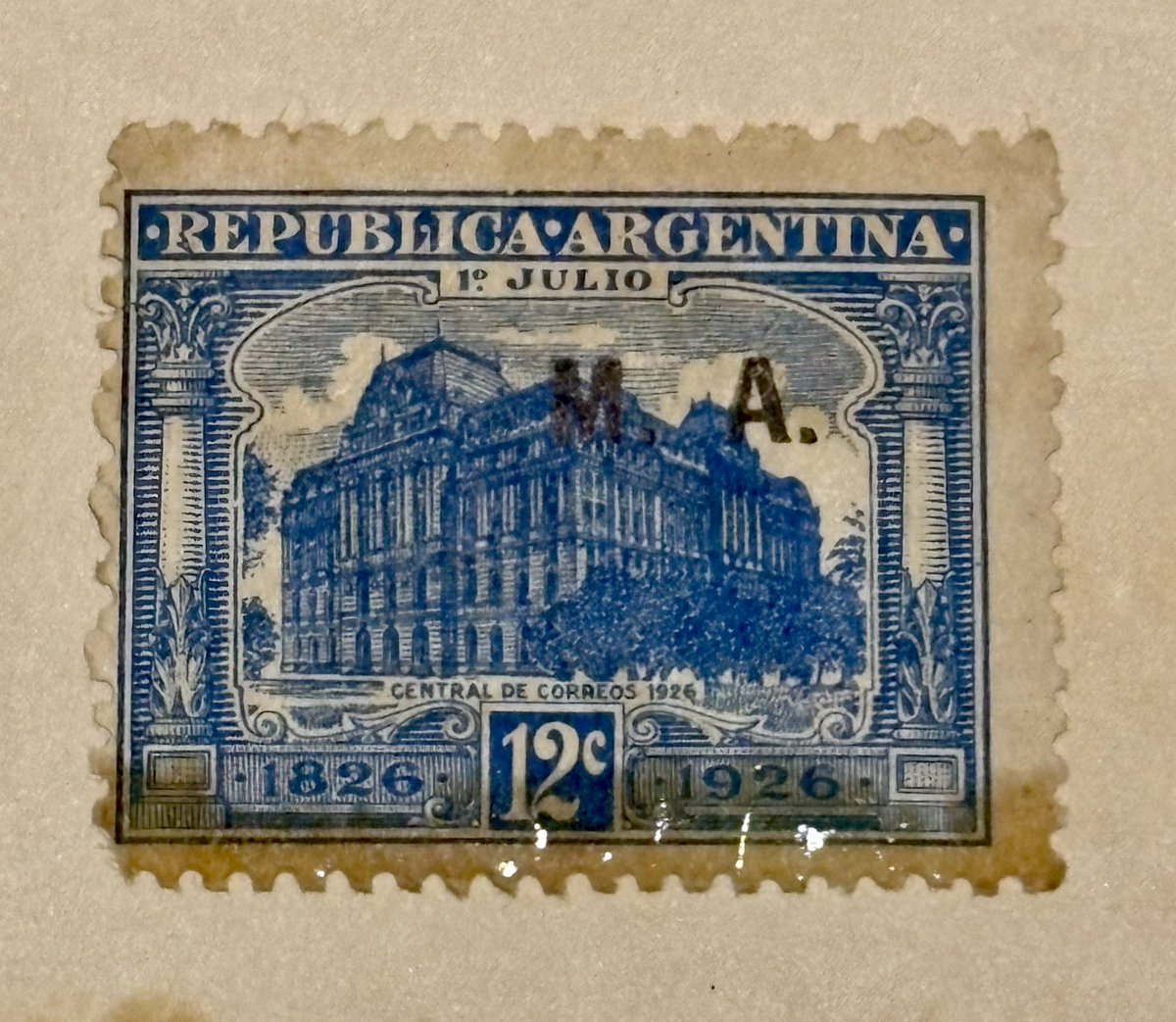 Camila Nizzo tweet media