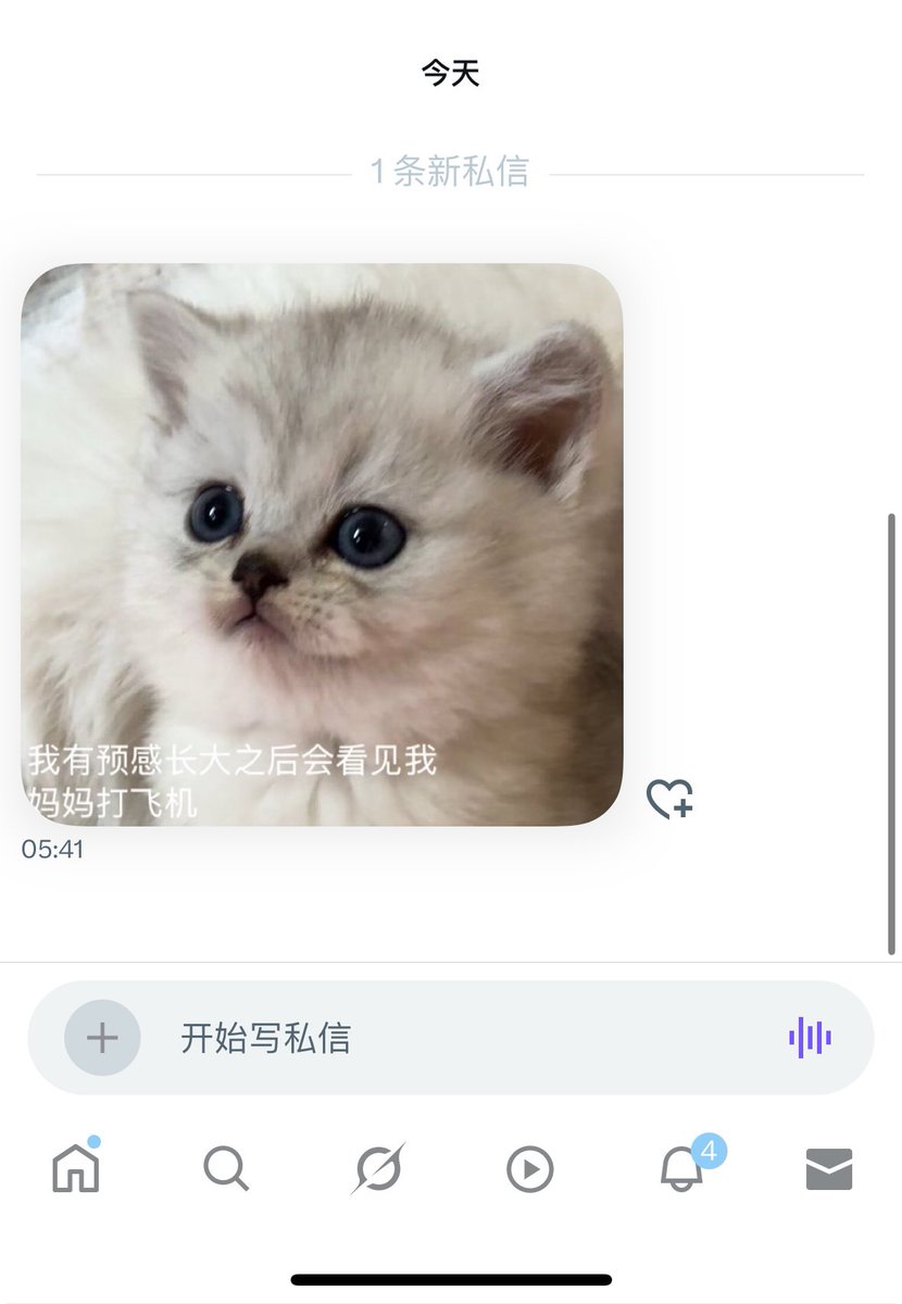 媒体预览
