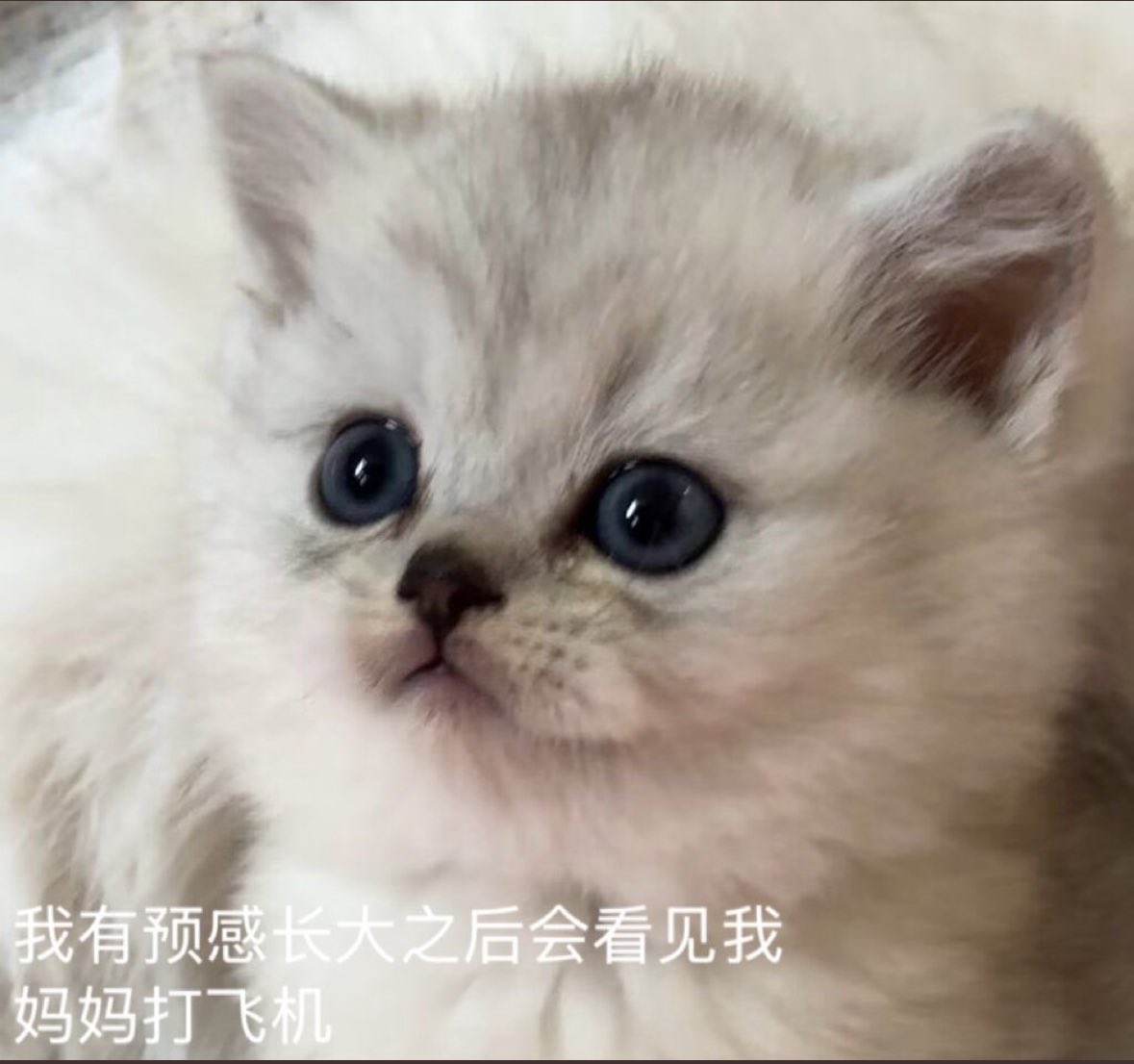 黄推福利内容 - 清蒸奶嗝宝的精彩图片 福利姬清蒸奶嗝宝分享的黄推图片2 - 网红私拍内容