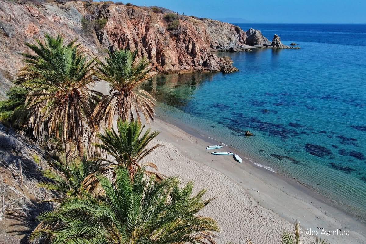 PostBajaSur's tweet image. 🌅🌴 Postales 
Sudcalifornianas I El encanto de la  𝗣𝗹𝗮𝘆𝗮 𝗘𝗹 𝗖𝗮𝗿𝗿𝗶𝘇𝗮𝗹𝗶𝘁𝗼.
Fuente: @GobBCS