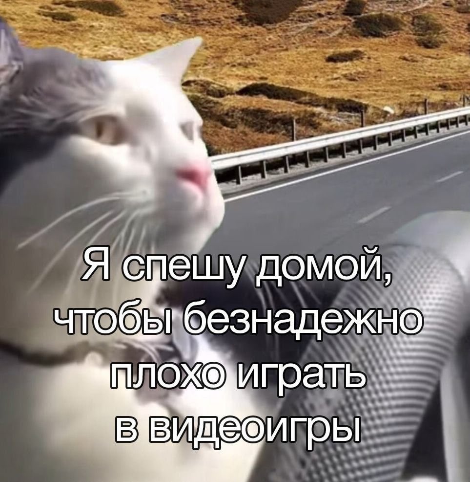 Calmnist's tweet image. Раньше этот мем казался мне очень смешным, а теперь это я…