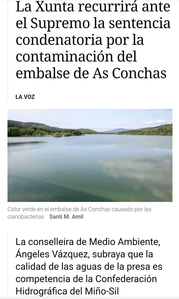 Está en contra de sentenzas que falan da vulneración do dereito á vida pola contaminación das macrogranxas, doutras do TSXG que botan atrás parques eólicos, amósase abertamente a favor da caza do lobo e de Altri. É Ángeles Vázquez, Conselleira CONTRA o Medio Ambiente.