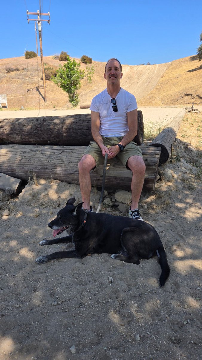 RobertoCardel18's tweet image. Welcome Cathy I’m our family! Another senior saved from the shelter. #senior #seniordog #seniordogs #vegan #rescue @mapleveewesem thanks Golden Years Sanctuary