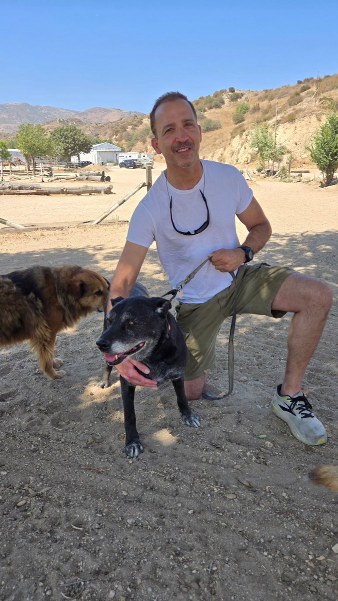 RobertoCardel18's tweet image. Welcome Cathy I’m our family! Another senior saved from the shelter. #senior #seniordog #seniordogs #vegan #rescue @mapleveewesem thanks Golden Years Sanctuary