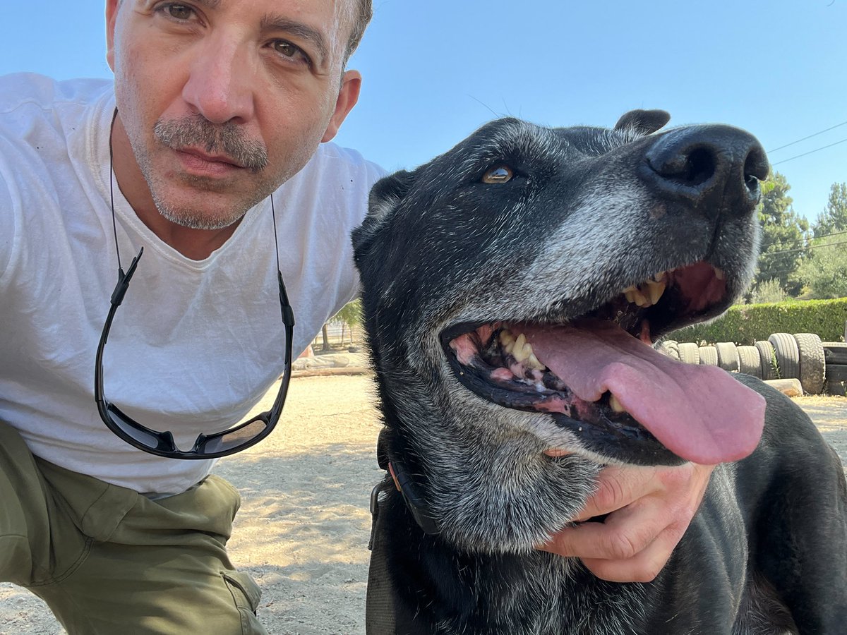 RobertoCardel18's tweet image. Welcome Cathy I’m our family! Another senior saved from the shelter. #senior #seniordog #seniordogs #vegan #rescue @mapleveewesem thanks Golden Years Sanctuary