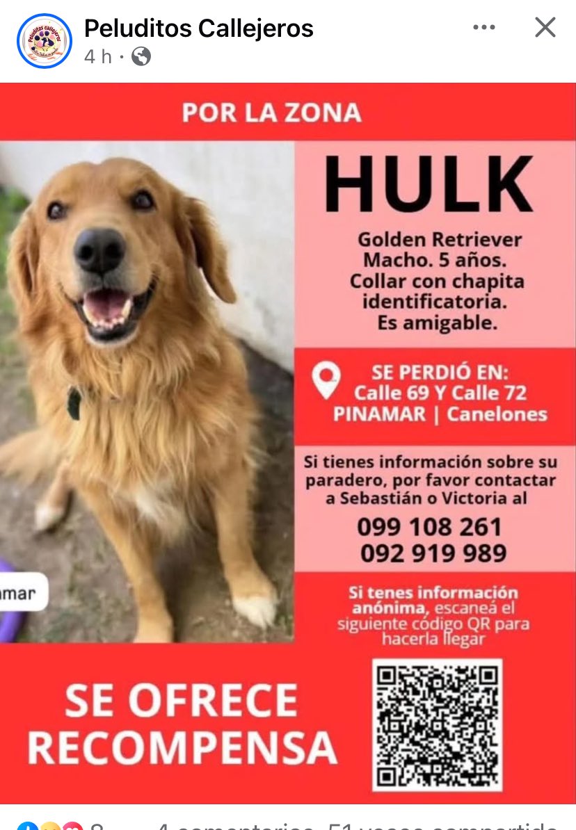 Adriana (@adriana43587622) on Twitter photo 