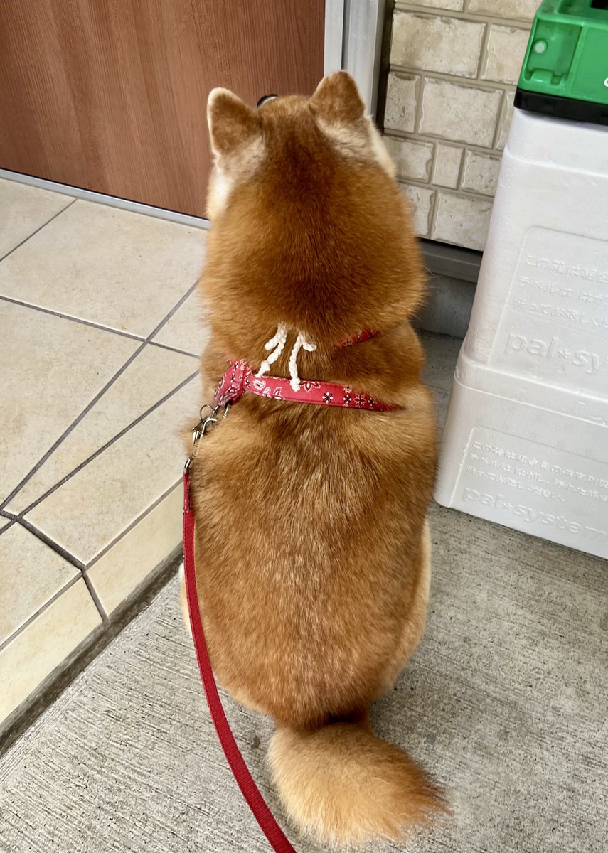 #後ろ姿からしか得られない栄養があるので見た人も貼る