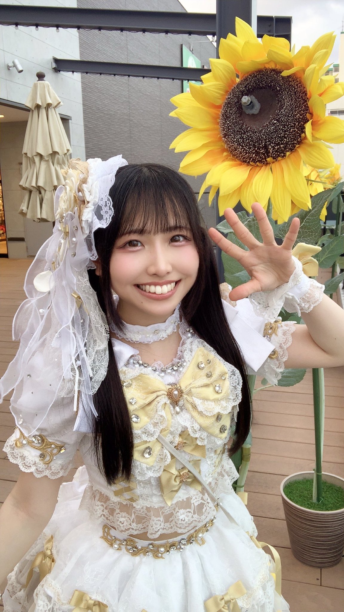 はなちゃん様♡ありがとうございます♡ 佐倉ひなた🐶なのだ on X: 