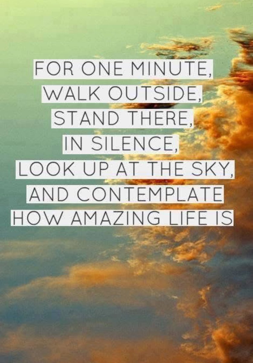 Kylie Riordan (@mindfulheal) on Twitter photo 