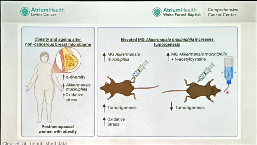 BIENthoughts71's tweet photo. SY. Microbiome and breast cancer. Let me just say this blows my mind in how scientists work! Kudos @KLCookLab #ENDO2025 https://t.co/zMzN4QBjrX