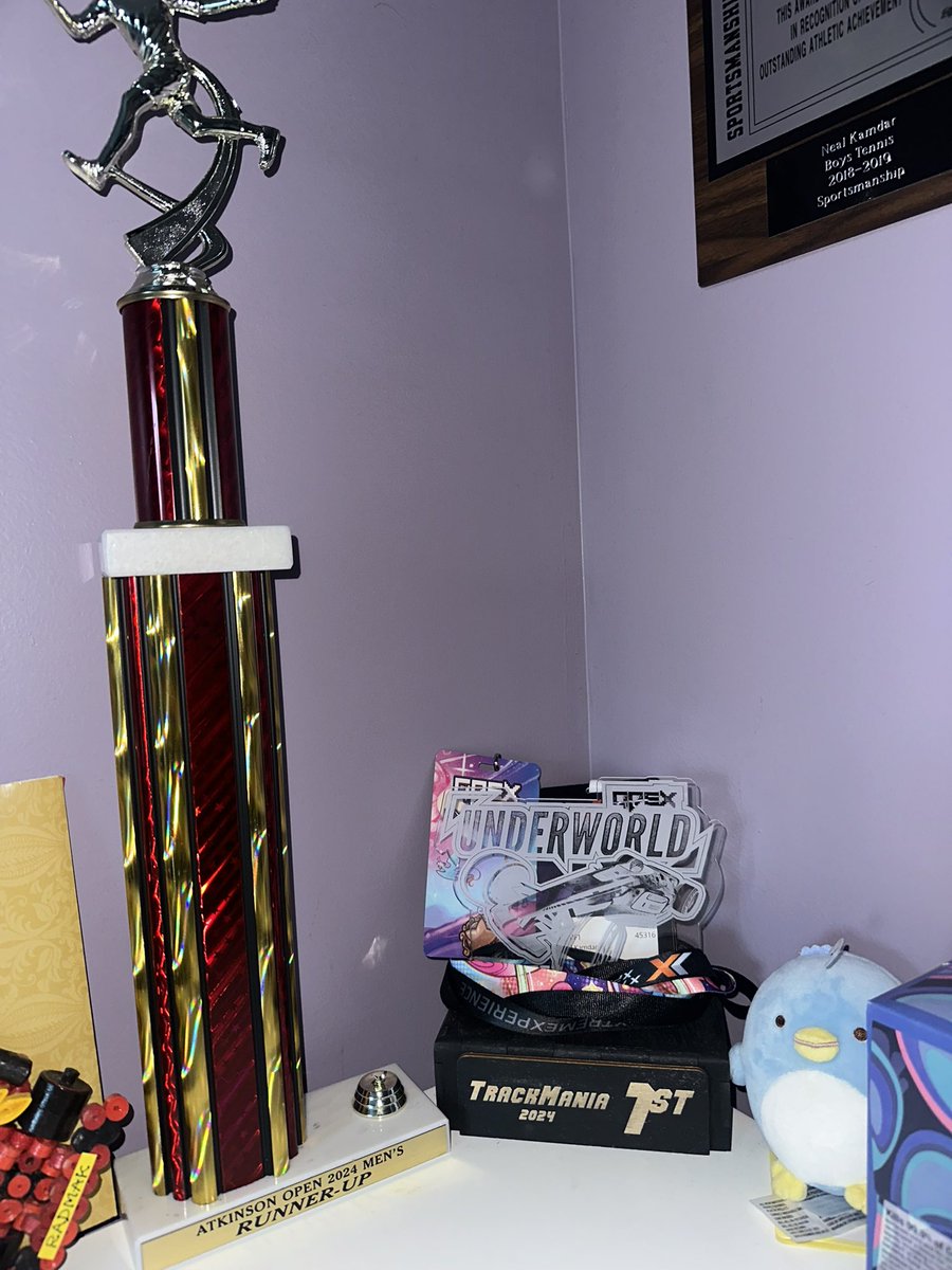 Forgot to update this, but got the 2nd place trophy :). 

6-4, 5-7, [Retired] 3rd set. 

Got my herniated disk during the match as soon as 2nd set ended and haven’t played a tournament since. Hopefully I am back next year! Sits pretty with my TM trophy