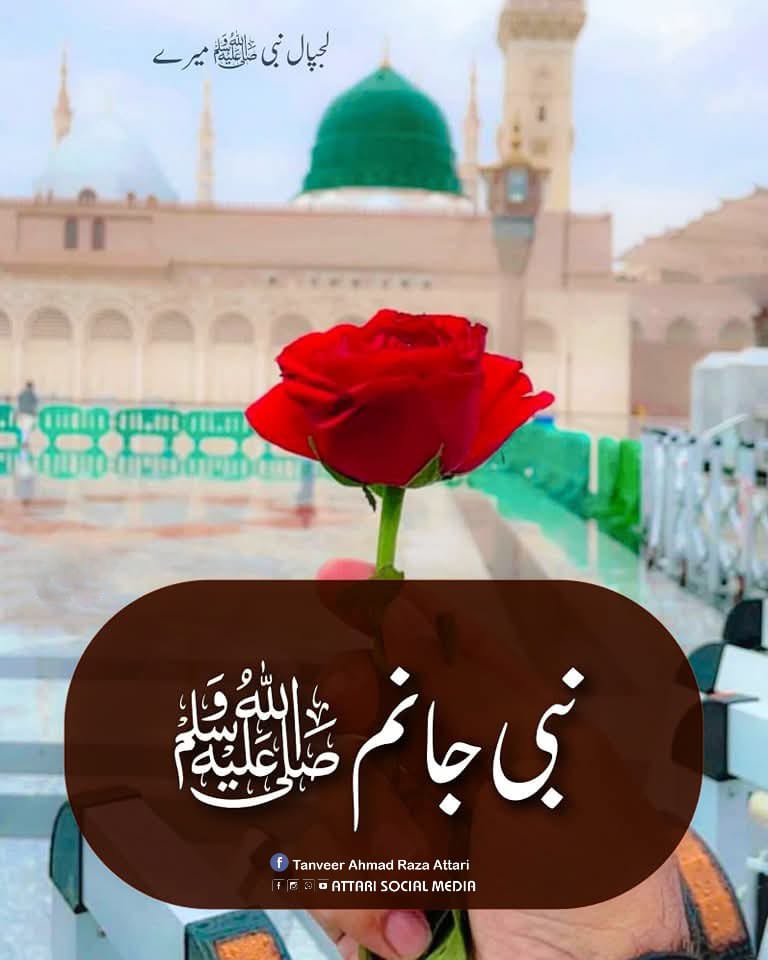 خاک ہو جائیں عدو جل کر مگر ہم تو رضاؔ
*دَم میں جب تک دَم ہے ذِکر اُن کا سُناتے جائیں گے
🌸