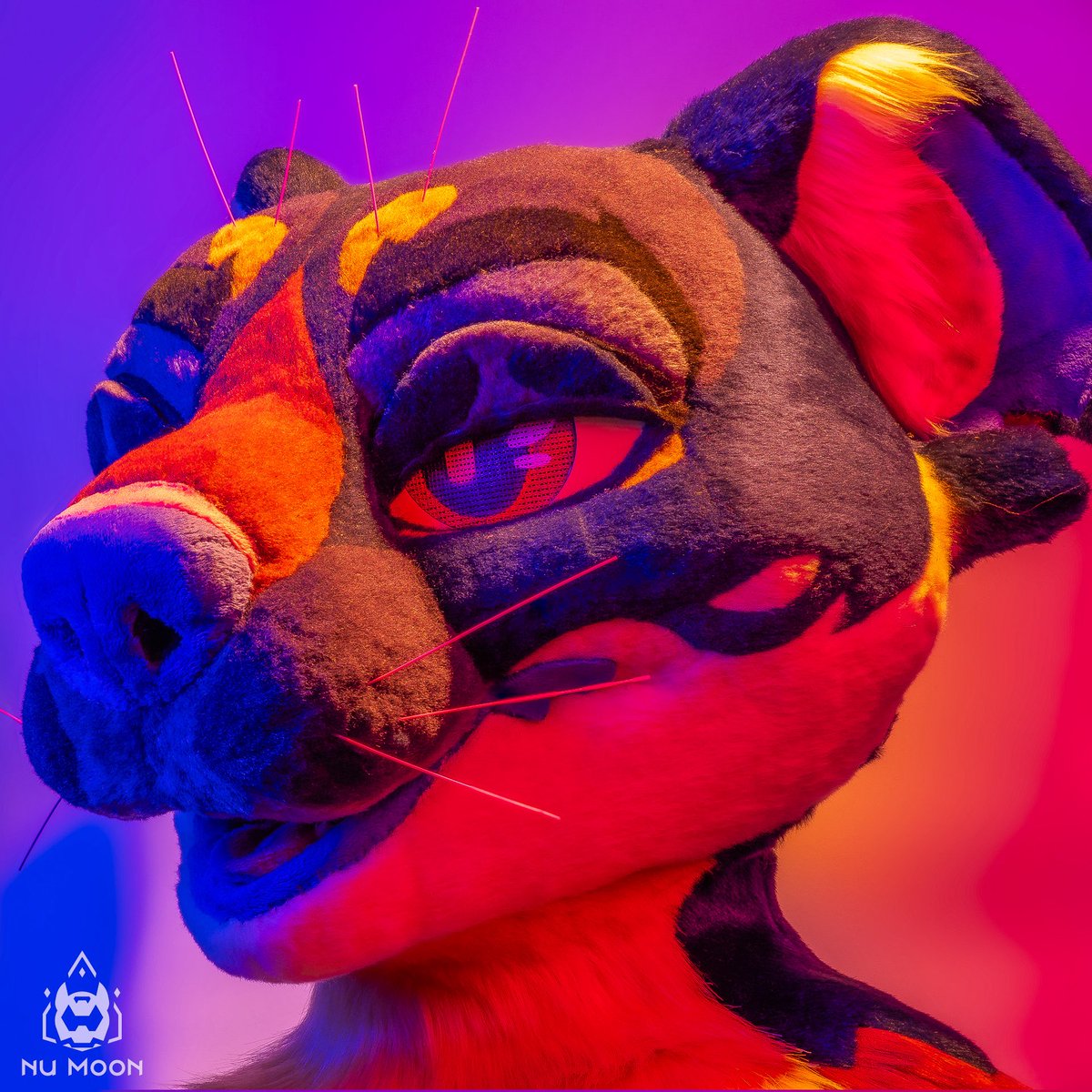 ⛓Moon 🔜 FWA, AC, Mega⛓️ tweet media