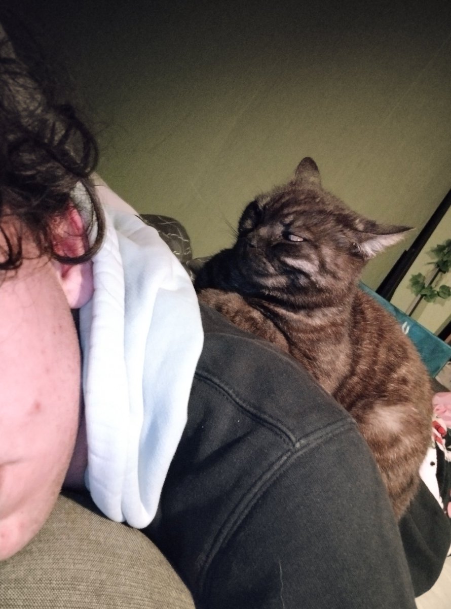 ekko laid dowwn for a second,, snd thiss bitch loafs on its' backk