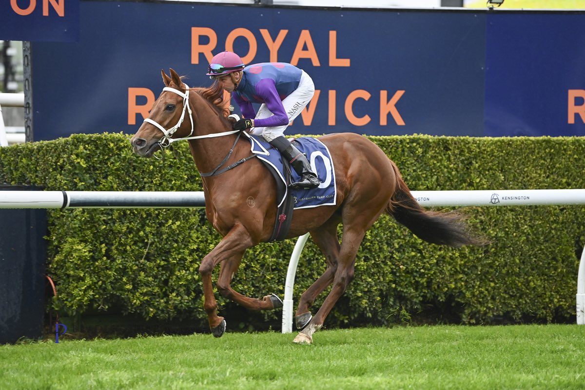Danny Williams (@goulburntrainer) on Twitter photo ๐ฃ RUNNER UPDATE ๐ฃ
MARSABIT rounds out the weekend in the 1600m <a href="/NarranderaRC/">Narrandera Race Club</a> Showcase Cup (R8) ๐
Fresh from metro company after a fair effort at Randwick over 1800m 3 weeks ago, the 7YO lines up well drawn carrying little weight for our apprentice Dale Cole.
Competitive ๐ฃ RUNNER UPDATE ๐ฃ
MARSABIT rounds out the weekend in the 1600m <a href="/NarranderaRC/">Narrandera Race Club</a> Showcase Cup (R8) ๐
Fresh from metro company after a fair effort at Randwick over 1800m 3 weeks ago, the 7YO lines up well drawn carrying little weight for our apprentice Dale Cole.
Competitive