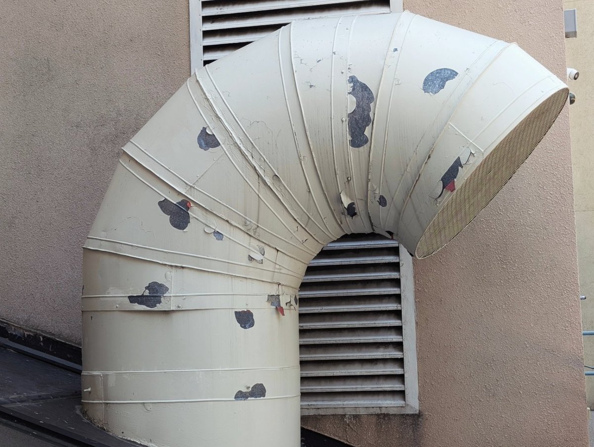 skunkpaste's tweet image. father &amp;amp; son