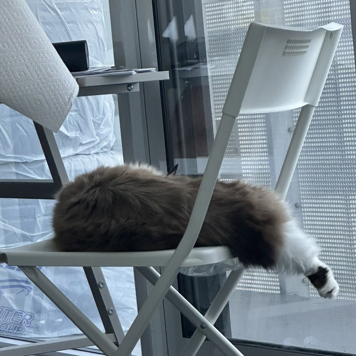不明物体？？？