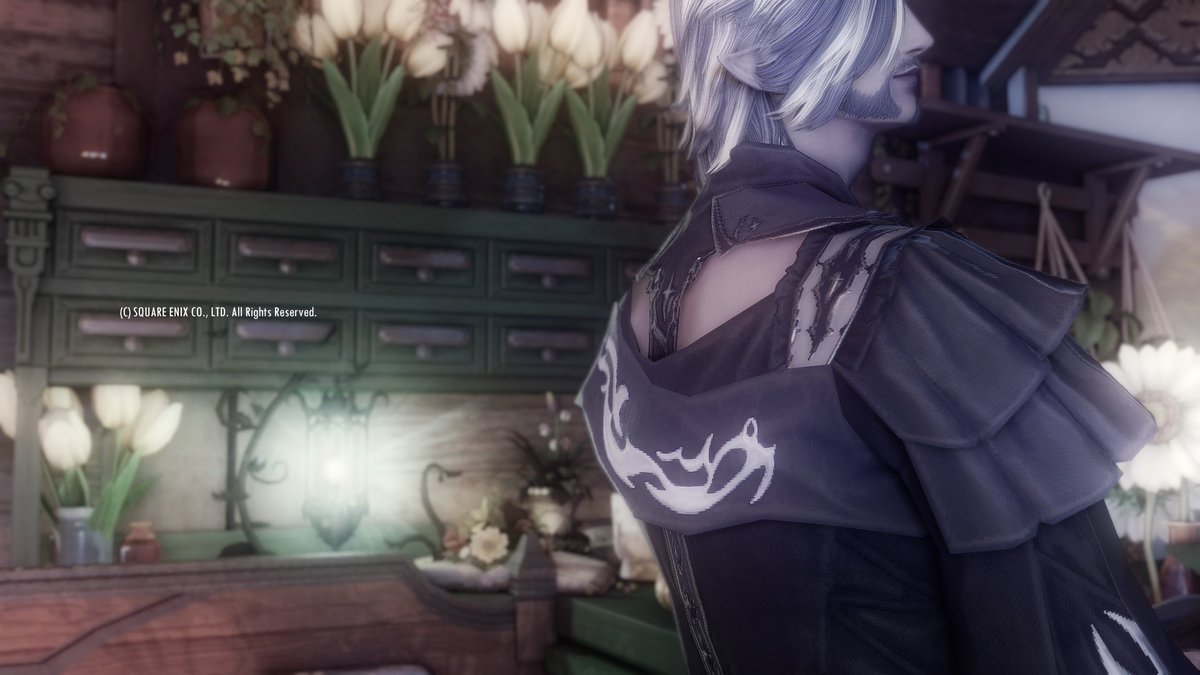 #Dialux_A #FF14ss #エレオス