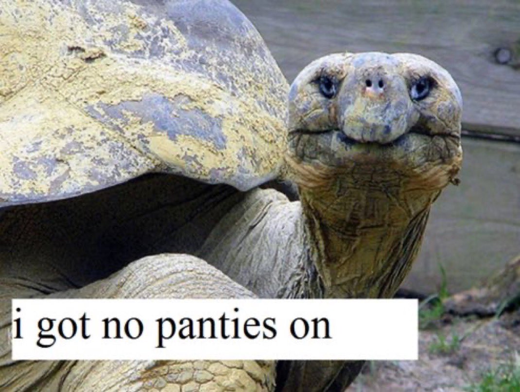 Hey im Jonathan! Im 192 and I've made more babies than you will ever see! 

🐢🐢🐢🐢🐢🐢