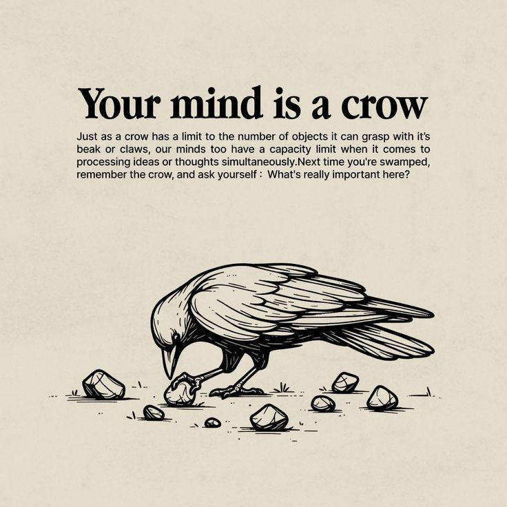 Your mind is a crow. It can only carry so much.