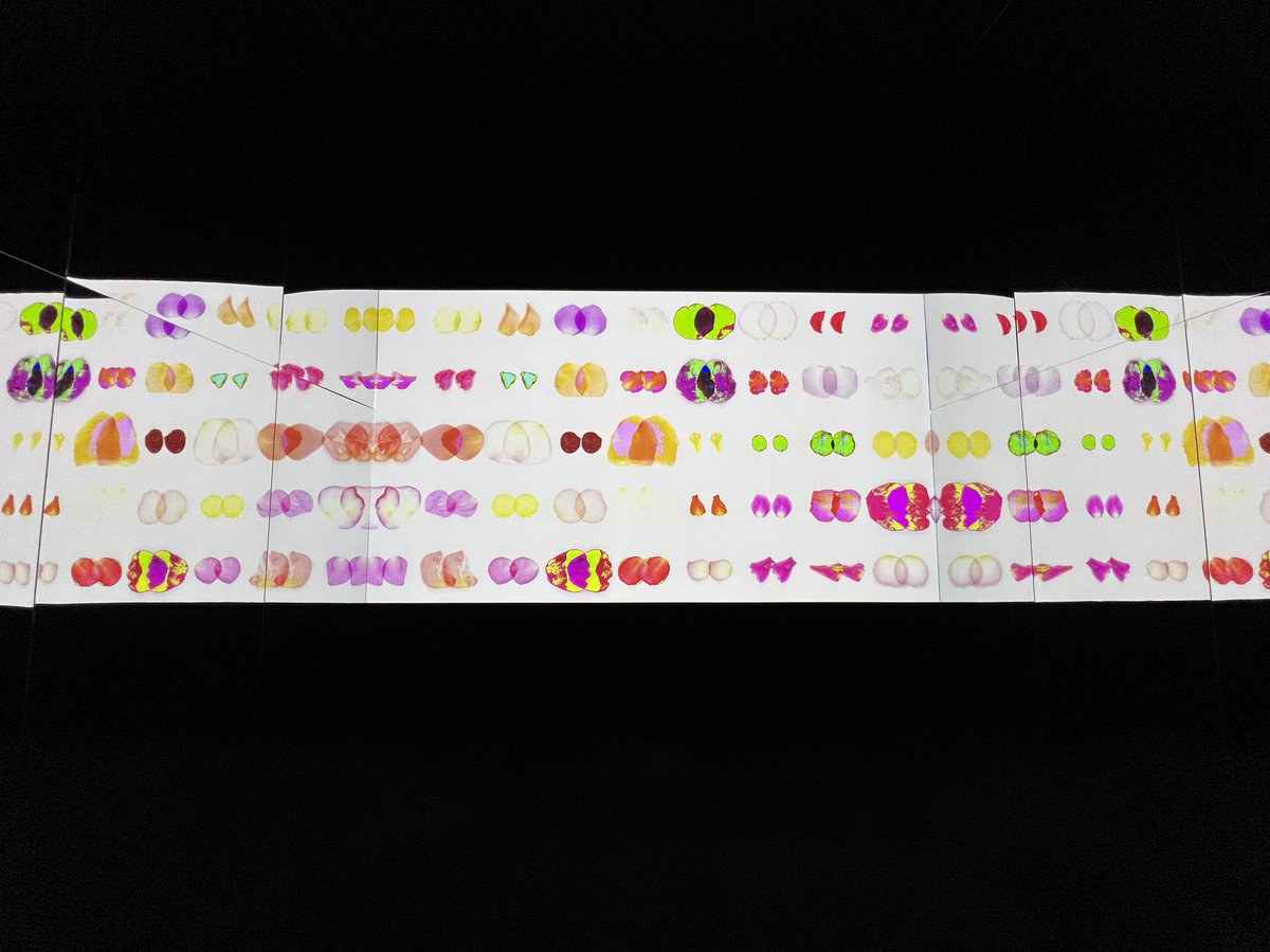 <a href="/chilltulpa/">Lonliboy</a> i sat down and watched @sarahmeyohas’ infinite petals for like 20 minutes today