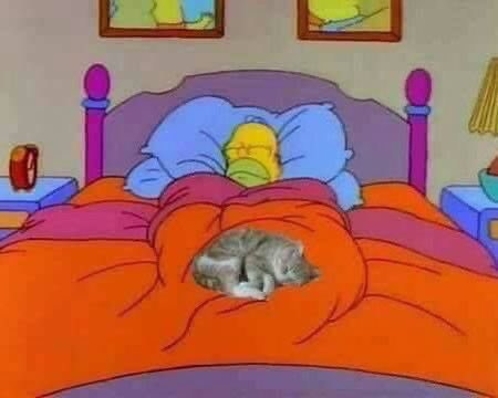 - Salís a la joda hoy? 
 - Se me complicó amigo, tengo que estudiar para un parcial