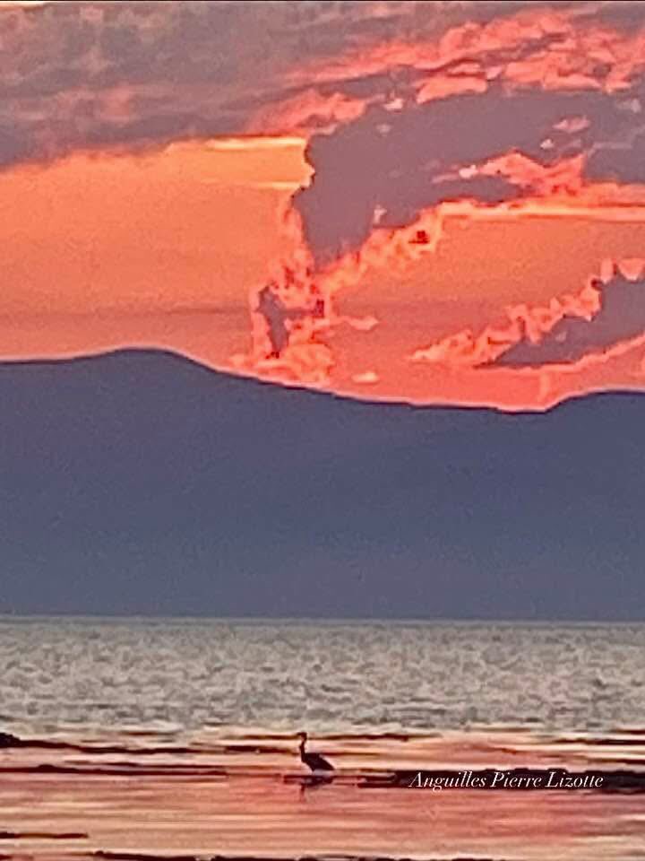 Il a le cou assez long! 
Oui Gédéon 😃🤠🤣🤣🤣🤣Dessin animé du temps 😃👌
Rivière-Ouelle♥️😍🌹🌸🌸🌸
Scène 🎬 énergisante 🔥🌸😍
La beauté de la nature de passage le 11 juillet ♥️🌹