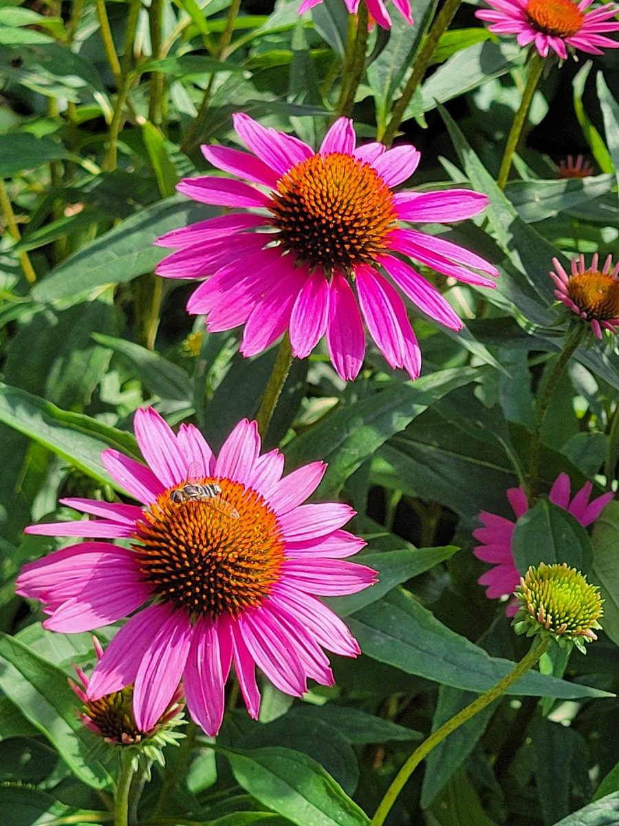 🇵🇦/🇻🇮 vaguely tweet media