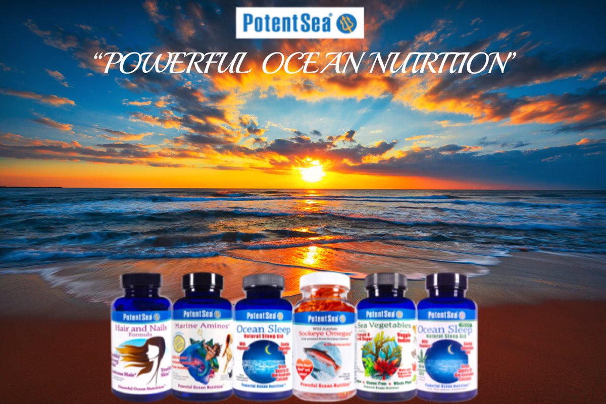 PotentSea Nutrition tweet media