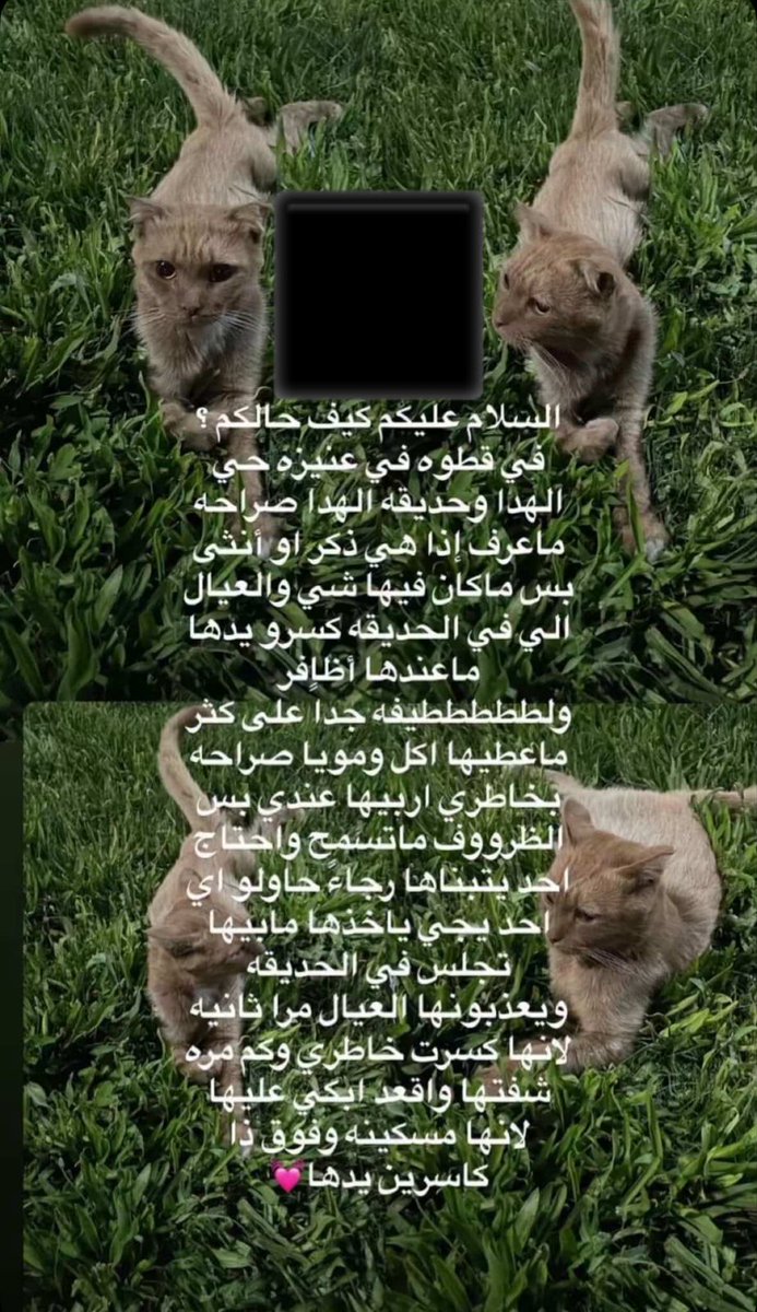 عنيزة 🆘⛔

موقع الحديقة
maps.app.goo.gl/kMGCKRtvzwhRmc…

<a href="/soundsoul369/">هيلة الروقي</a>