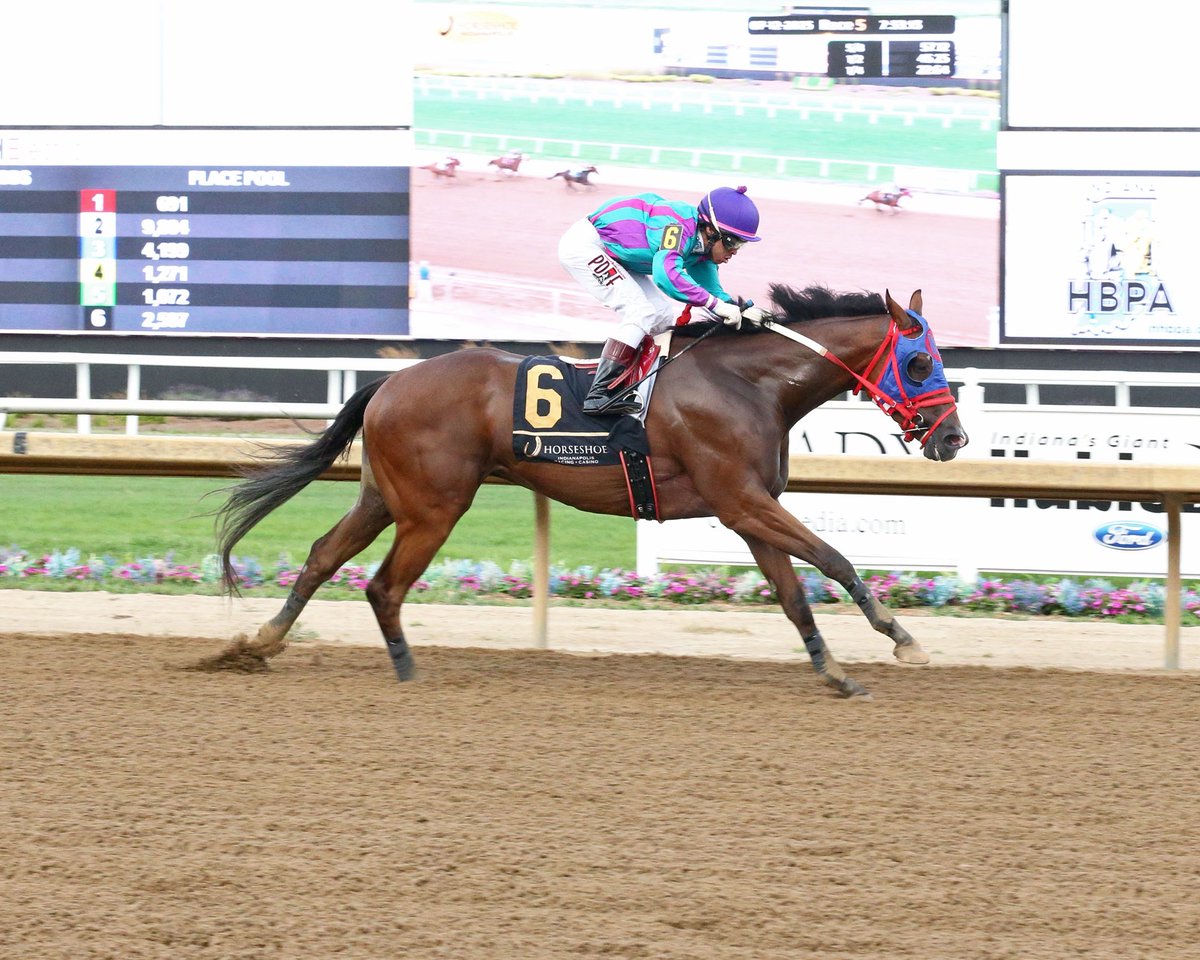 TIZ EDDIE too speedy for them <a href="/HSIndyRacing/">Horseshoe Indianapolis Race Course</a> on Saturday night. After being launched out of the gate with Sammy Bermudez, the son of Sahara Sky never looked back in the Sprint feature in 1:09.67 for his fourth career win. The odds-on favorite LATIGO chased before fading to fourth.