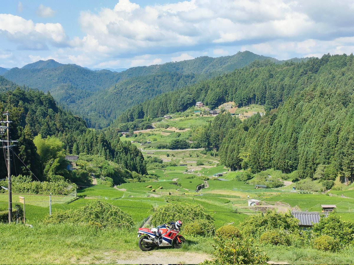 ihcapnig's tweet photo. 何年かぶりに千枚田に来てみました
景色が良く 気持ち良い場所です
涼を感じていただけると幸いです

#新城 #四谷 #千枚田 #VF #VF1000R https://t.co/TcozuJ19wS