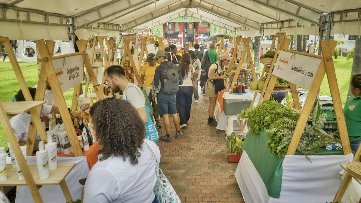 alejoeder's tweet photo. Exitoso el cierre de la #Macrorrueda de Negocios con una gran jornada en la Plaza de Cayzedo para los caleños, agenda familiar y 430 citas entre empresarios y emprendedores, con ‘Conexiones de Valor’. 

Sí es posible un centro más vivo, por eso, seguimos creando estos escenarios de encuentro, porque nuestra apuesta es renovarlo, recuperarlo y convertirlo en un gran motor de desarrollo para la ciudad. 

¡Gracias a todos los que parcharon hoy en la Cayzedo! #UnidosRecuperamosCali
