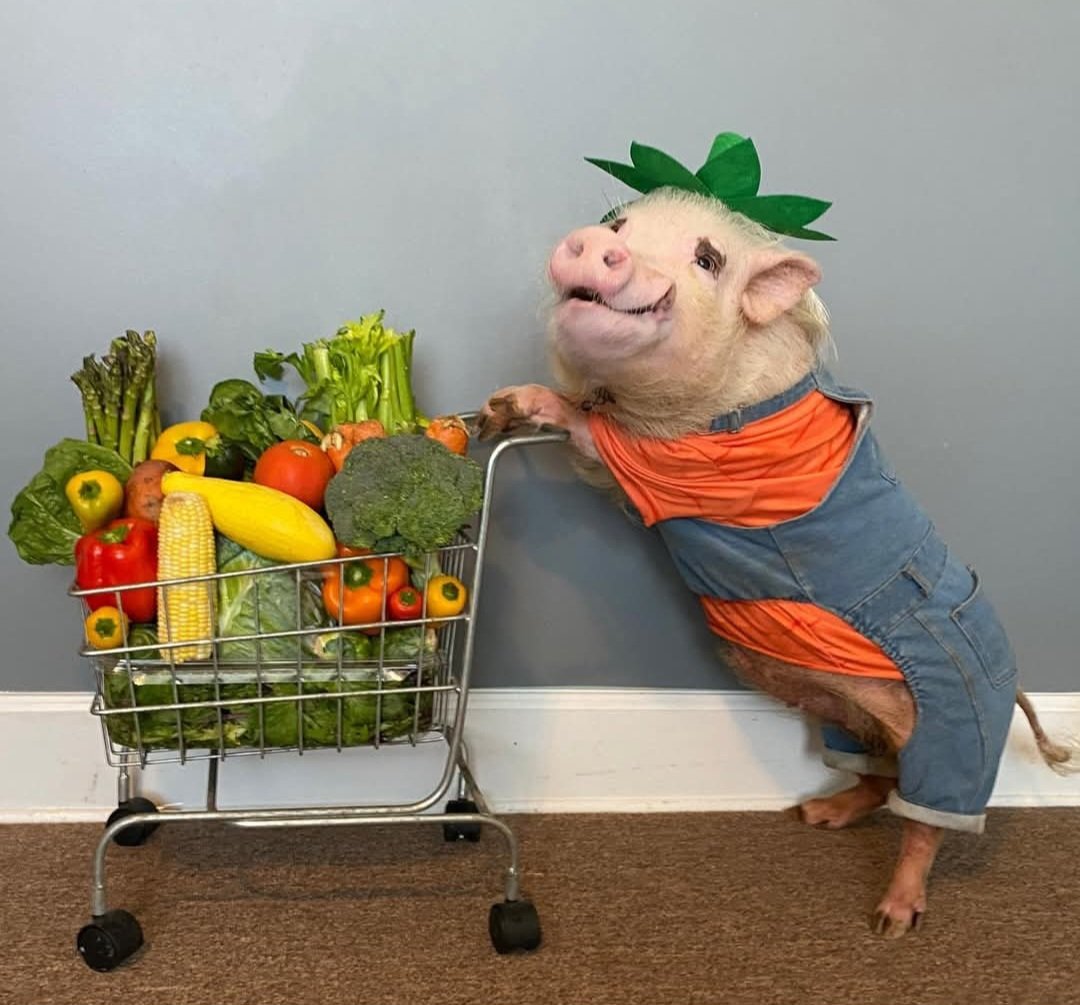 <a href="/mariana057/">mariana Z</a> My ass is still choosing to believe it means this.