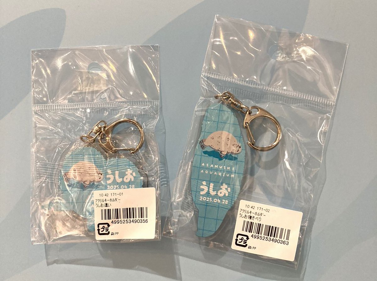 AsamushiAqua's tweet image. うしおグッズ第一弾入荷!!
第二弾もお楽しみに♪
□うしおキーホルダー 550円(税込)
通信販売(代引のみ)も可能ですので商品についてのお問い合わせはこちらのメールアドレスまで
→「giftshop@asamushi-aqua.com」
#浅虫水族館 #水族館 #aquarium #浅虫水族館売店