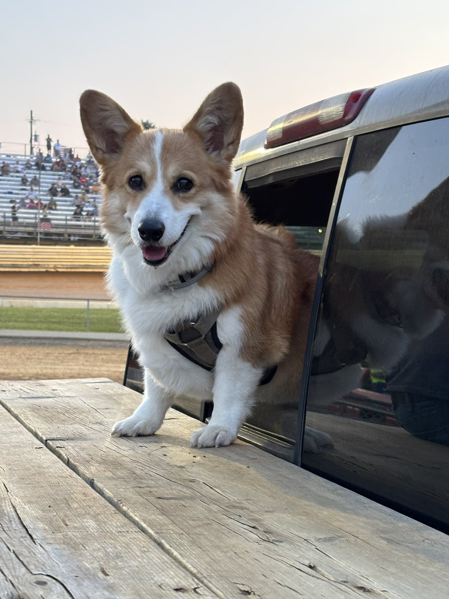 PushCorgi's tweet image. Who’s happy to be at @PortRoyalSpdway tonight?! 😃🙋🏻♂️ #speedpalace