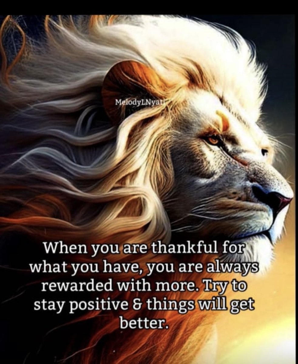 Poonam_Datta's tweet image. Good Morning from Dubai