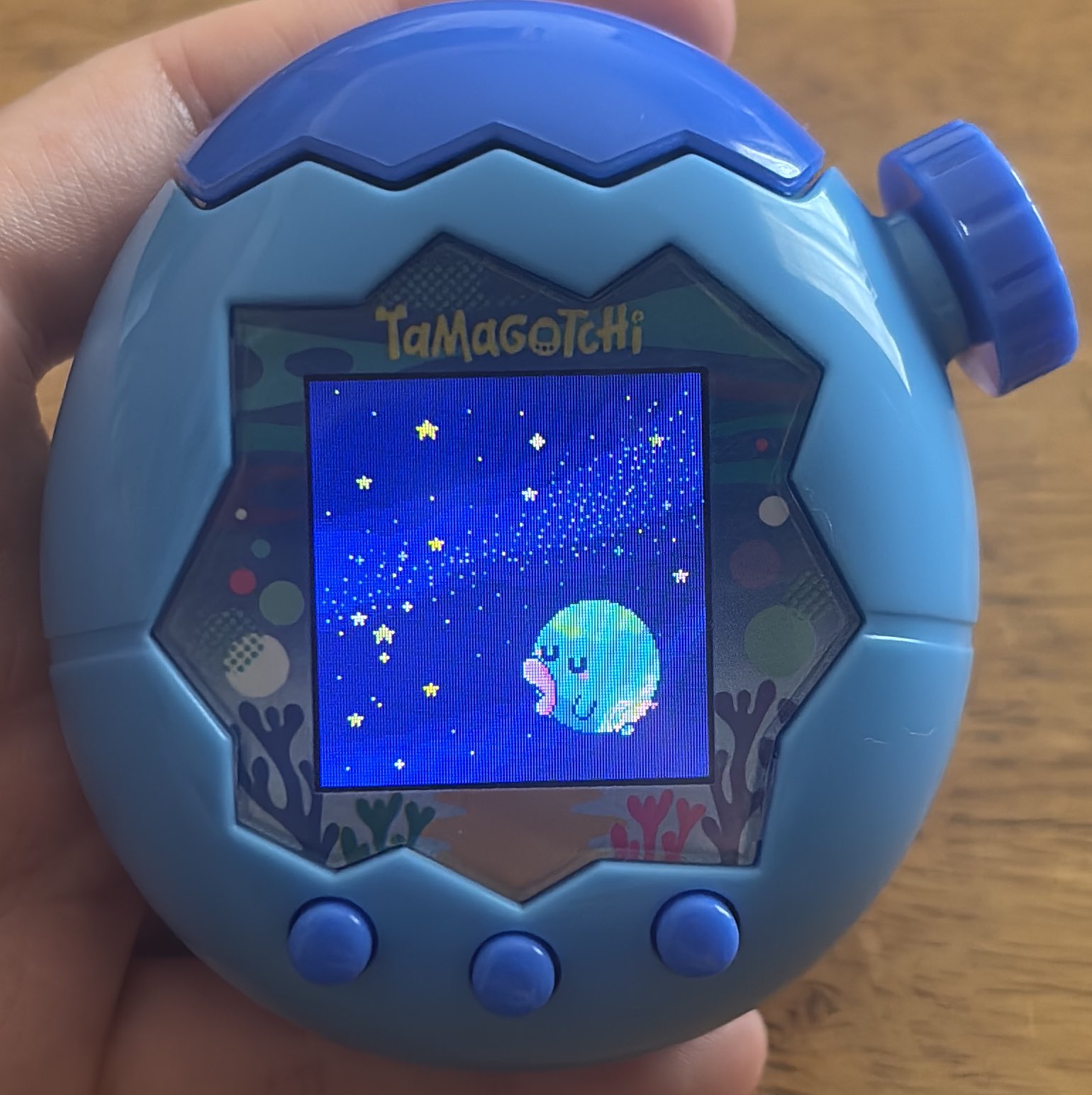たまきち様♪ ちあき(くぴぽ) on X: 