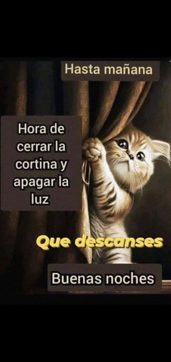 Buenas noches Xtuiteros, que descansen!! 🌜✨