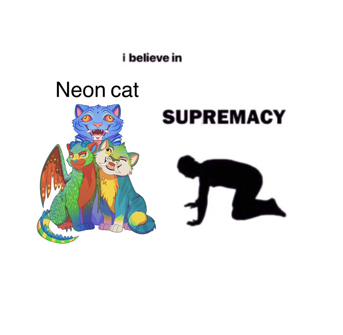 We have to show our sparkle kitties some more love!