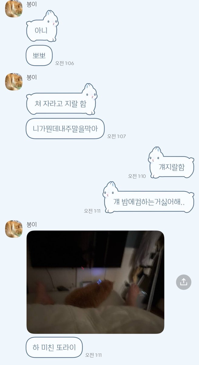 내가말했지ㅠ 내말맞지 ㅠ? (고먐미봐주는 친구에게)