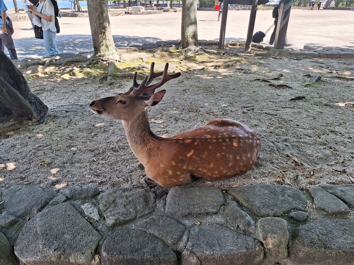 おはようございます☀
