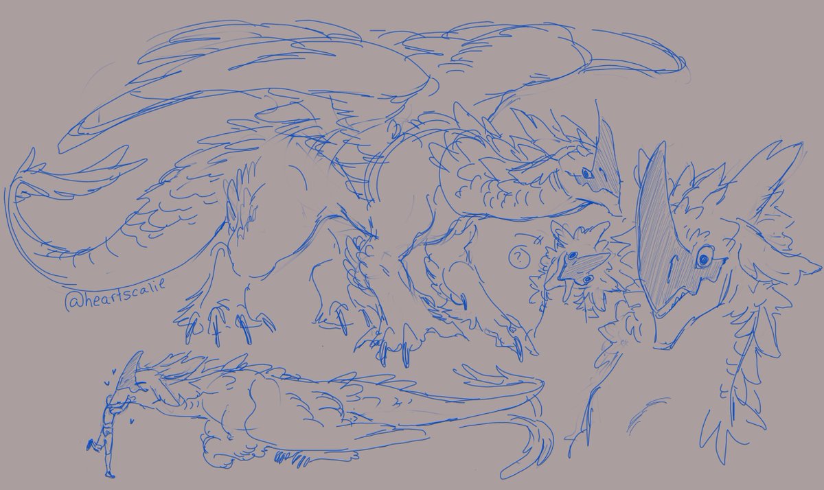 Heartscalie's tweet image. Doodling some before a busy day with @/Larynkir :3 I dont think I can make a bird inspired dragon without giving it a stupid face XD #dragon #dragonoc