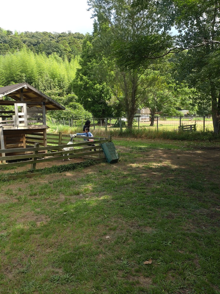 ＃袖ケ浦ふれあい動物縁
＃木陰
＃夏もいいよ