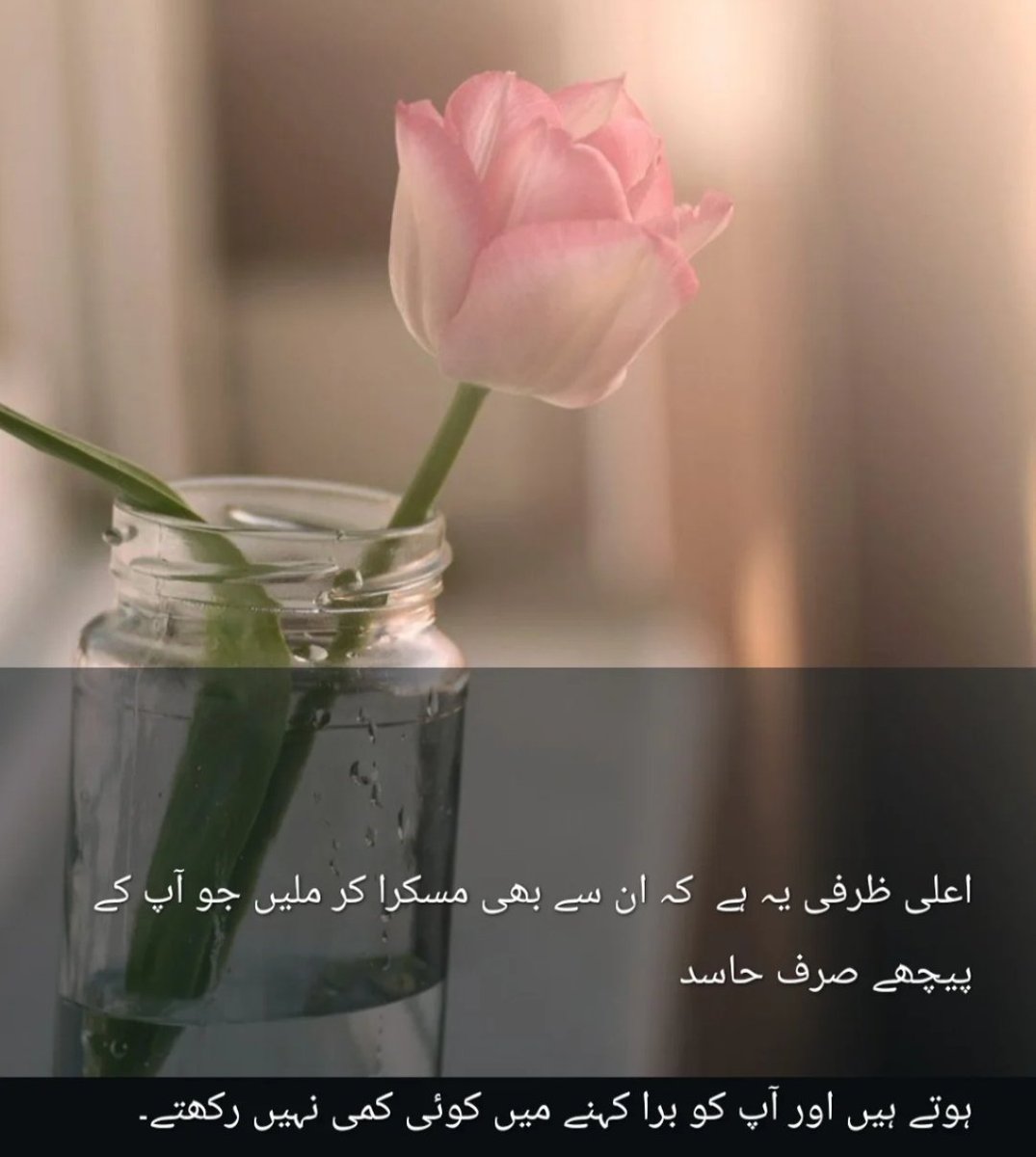 Asma Rajput (@as01ra) on Twitter photo 