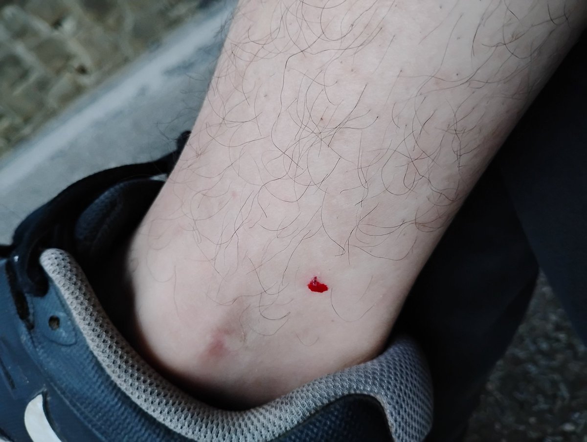 What managed to do this