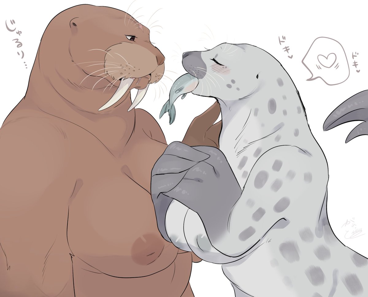 🫙がれっと🐻 tweet media